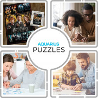 AQUARIUS Puzzle Harry Potter: Filmové plakáty 1000 dílků