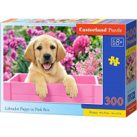 CASTORLAND Puzzle Labrador v růžovém boxu 300 dílků