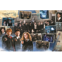 TREFL Puzzle Harry Potter 10v1