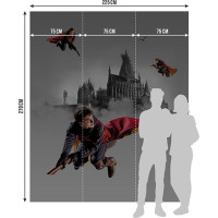 Dětská fototapeta - HARRY POTTER 2 - 225x270 cm