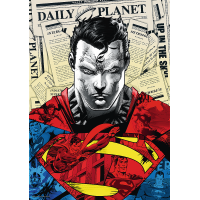 TREFL Puzzle Premium Plus: Superman 1000 dílků