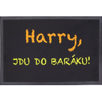 Rohožka Harry, jdu do baráku 40x60 cm