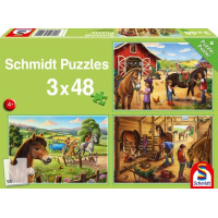 SCHMIDT Puzzle Moje oblíbení koníci 3x48 dílků