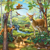 RAVENSBURGER Puzzle Zvířata v lese, ZOO a na statku 3x49 dílků