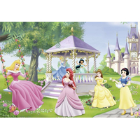 RAVENSBURGER Puzzle Okouzlující princezny 2x24 dílků