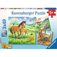 RAVENSBURGER Puzzle Zvířecí mazlení 3x49 dílků