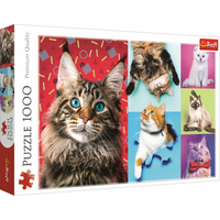TREFL Puzzle Veselé kočky 1000 dílků