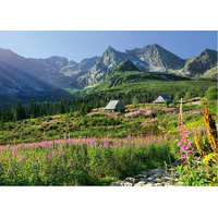 CHERRY PAZZI Puzzle Gąsienicowa dolina, Vysoké Tatry 1000 dílků