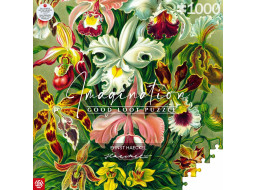 GOOD LOOT Puzzle Imagination: Ernst Haeckel - Orchidej 1000 dílků