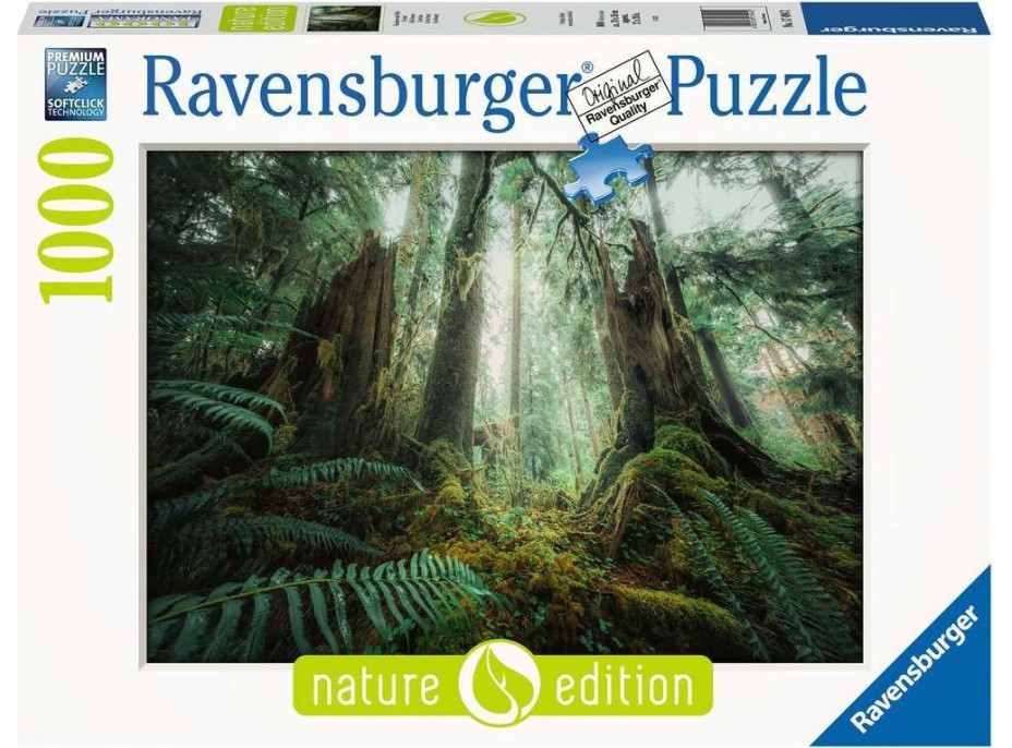 RAVENSBURGER Puzzle V lese 1000 dílků