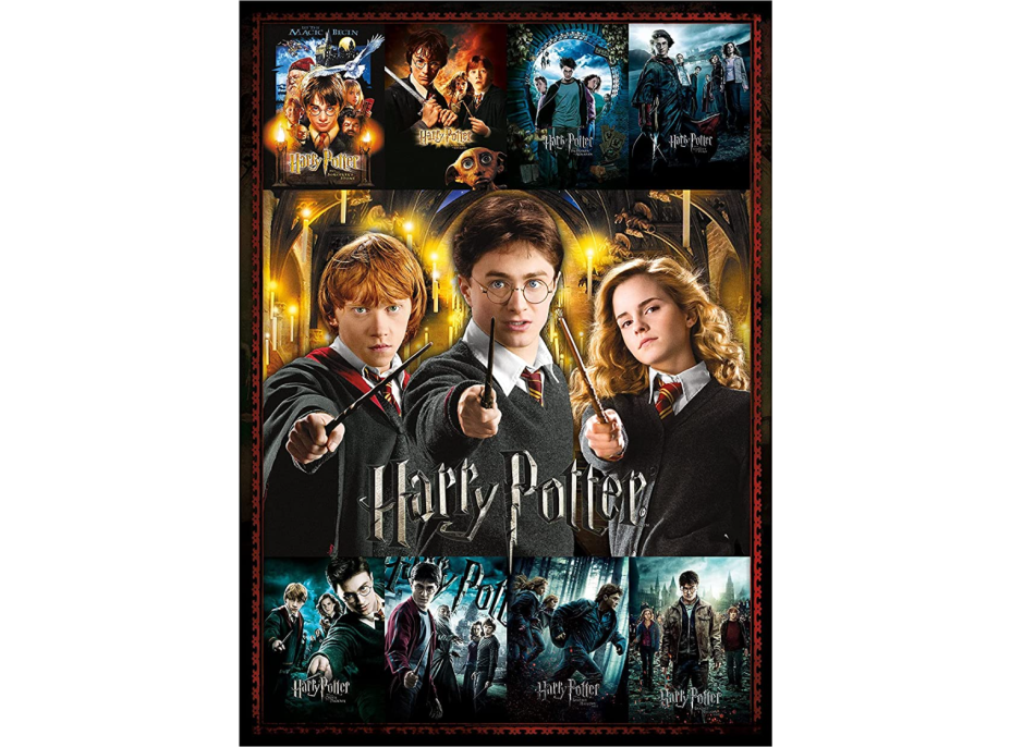 AQUARIUS Puzzle Harry Potter: Filmové plakáty 1000 dílků