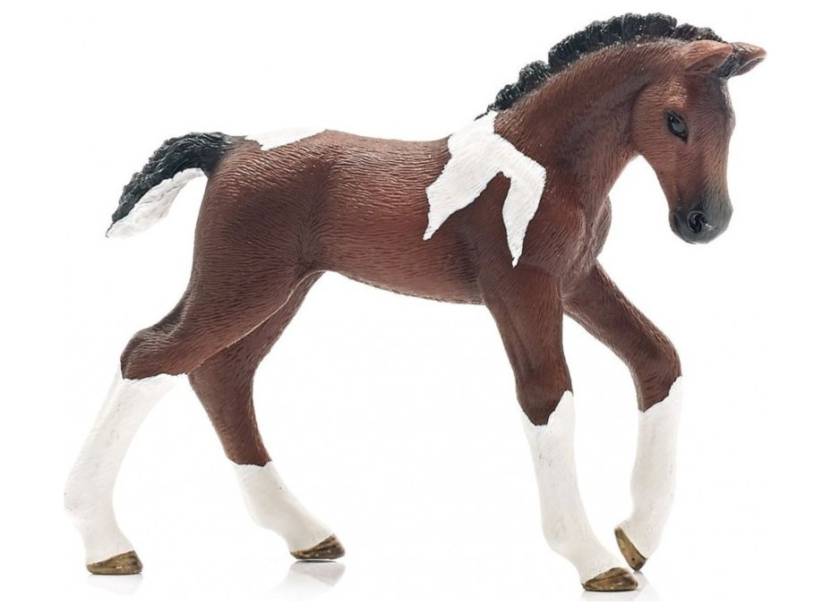 SCHLEICH Horse Club® 13758 Trakénský kůň - hříbě