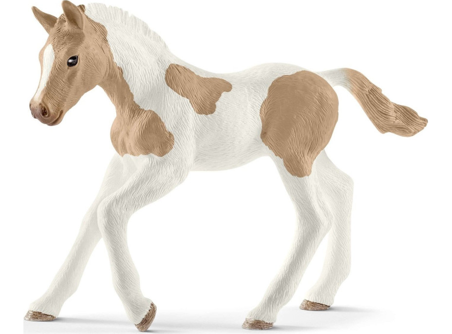 SCHLEICH Horse Club® 13886 Americký Paint Horse - hříbě