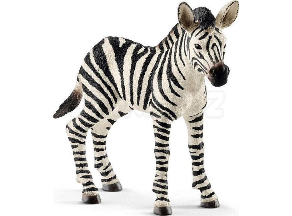 SCHLEICH Wild Life® 14811 Mládě zebry