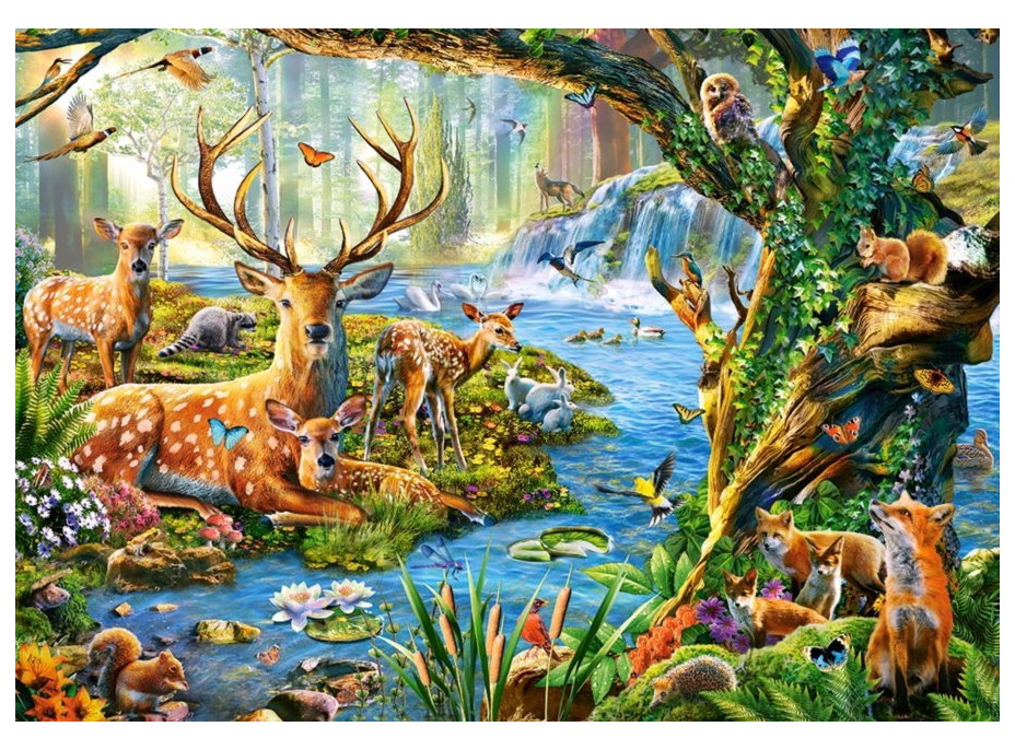 CASTORLAND Puzzle Život v lese 500 dílků