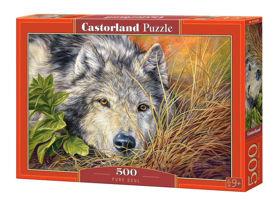 CASTORLAND Puzzle Čistá duše 500 dílků