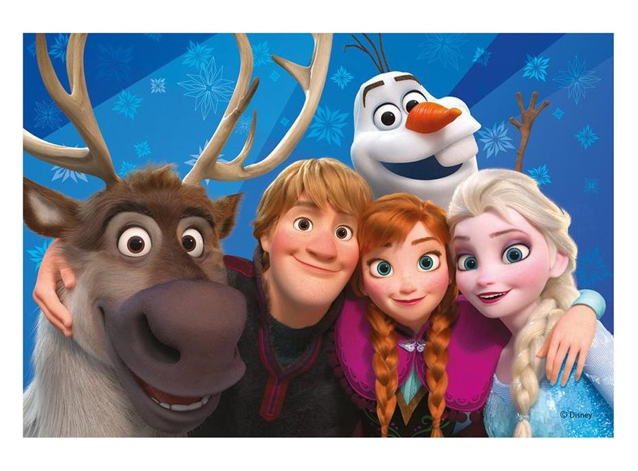DINO Puzzle Ledové království: Selfie 24 dílků