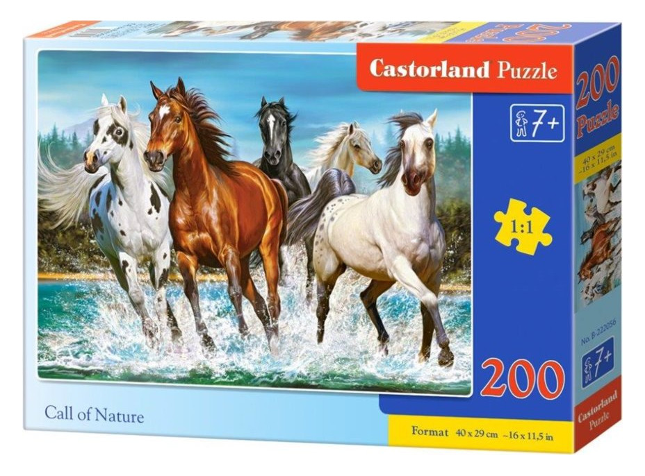 CASTORLAND Puzzle Volání přirody 200 dílků