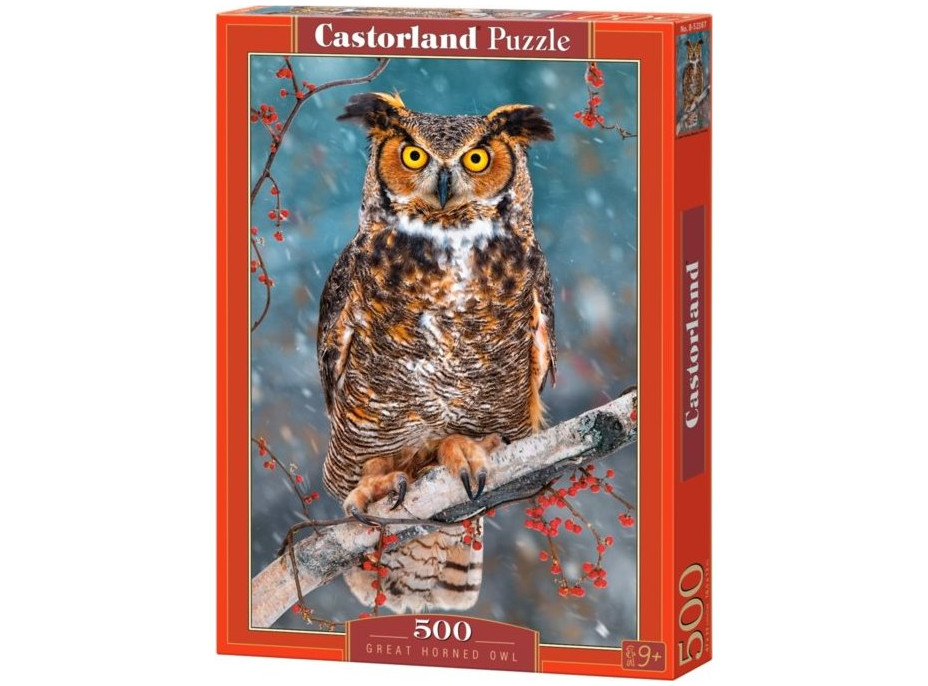 CASTORLAND Puzzle Výr ušatý 500 dílků