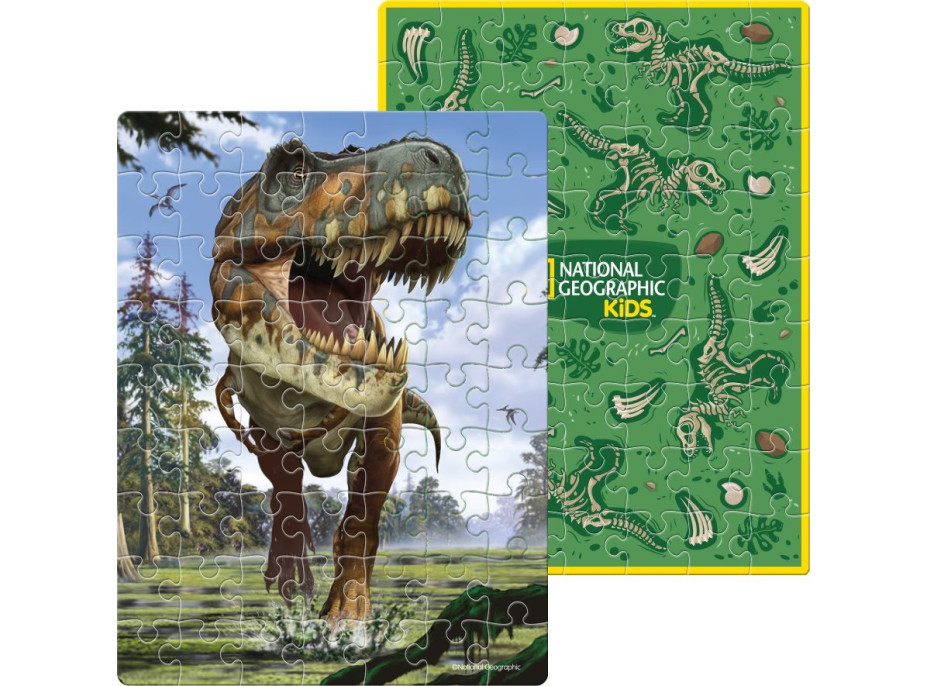 CUBICFUN Oboustranné puzzle ve vejci National Geographic: Tyrannosaurus Rex 63 dílků