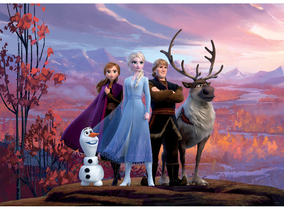 Dětská fototapeta DISNEY - Hrdinové Frozen II. na horské plošině - 156x112 cm