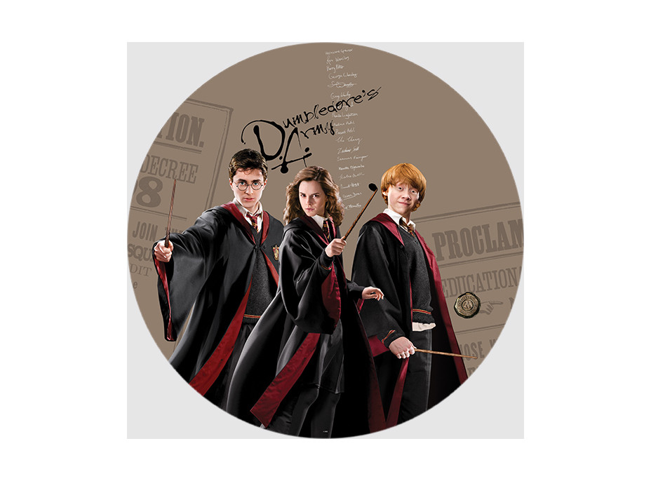 Dětská samolepící fototapeta - HARRY POTTER 1 - kulatá - 70 cm