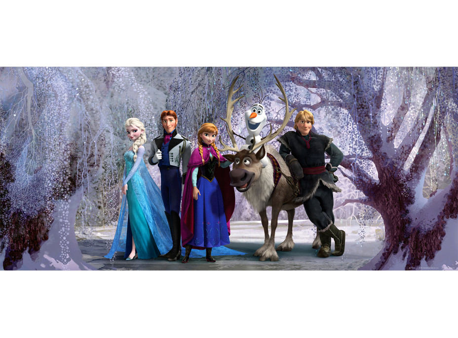 Dětská fototapeta DISNEY - Frozen v kouzelném lese - 202x90 cm