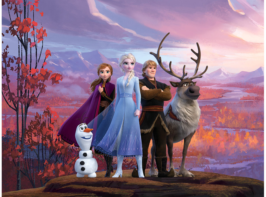 Dětská fototapeta DISNEY - Ledové království - Hrdinové Frozen 2 - 360x270 cm