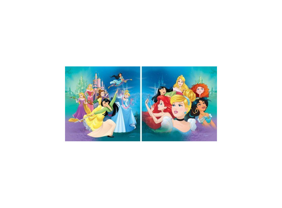 Dětský polštářek DISNEY PRINCEZNY 2 40x40 cm