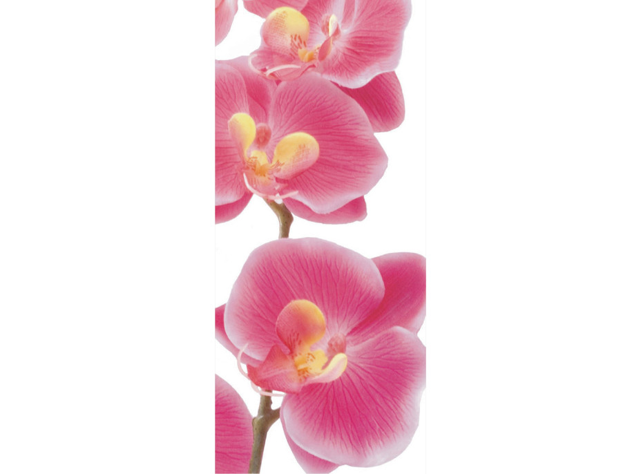 Moderní fototapeta - Růžové orchideje - 90x202 cm