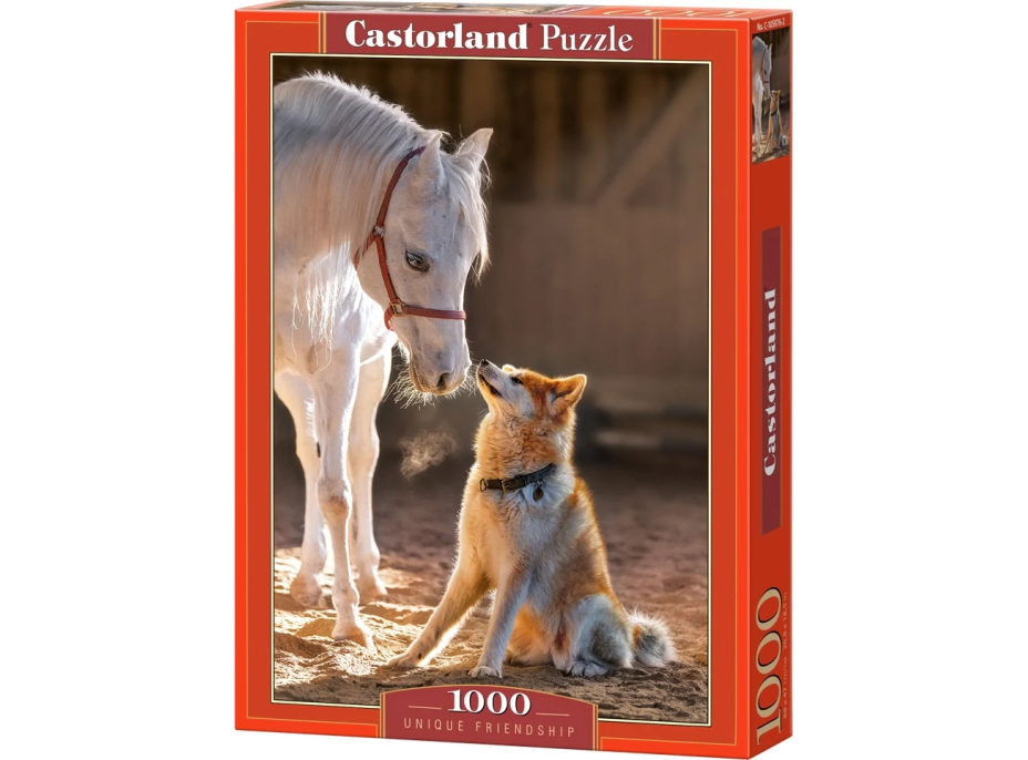 CASTORLAND Puzzle Výjimečné přátelství 1000 dílků