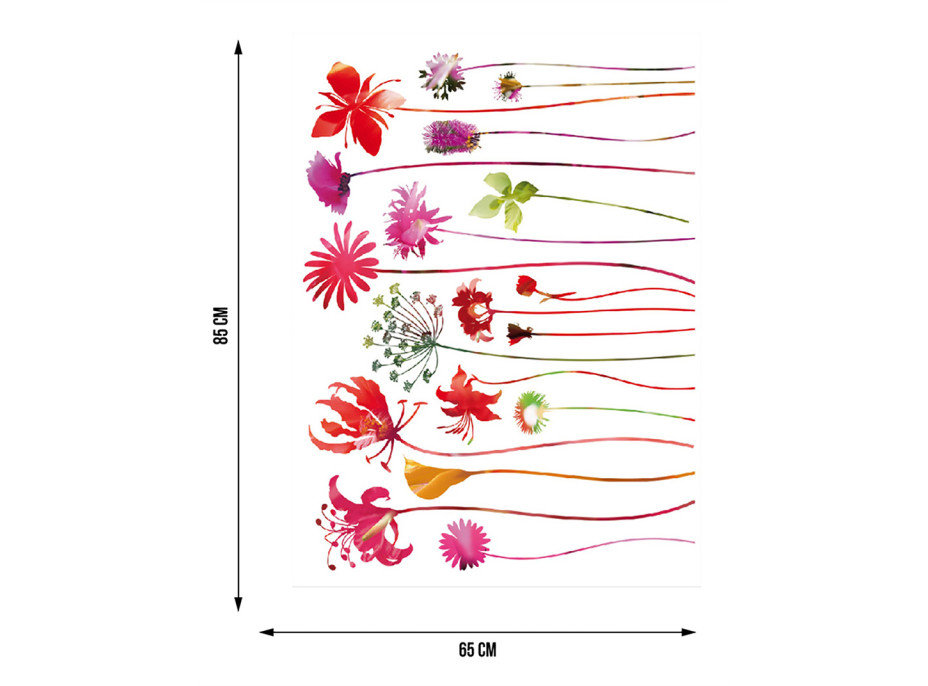 Moderní samolepka na zeď - Květiny s dlouhými stonky - 65x85 cm