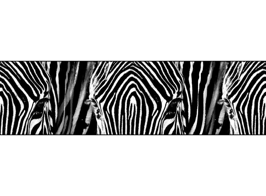 Moderní samolepící bordura - Zebra - 14x500 cm