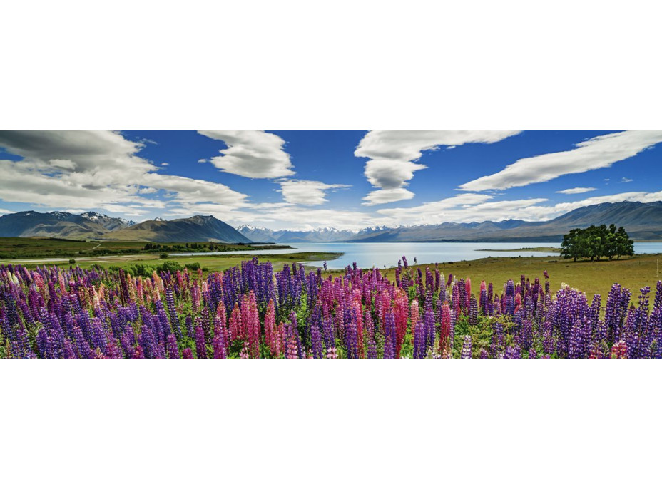 HEYE Panoramatické puzzle Jezero Tekapo, Nový Zéland 1000 dílků