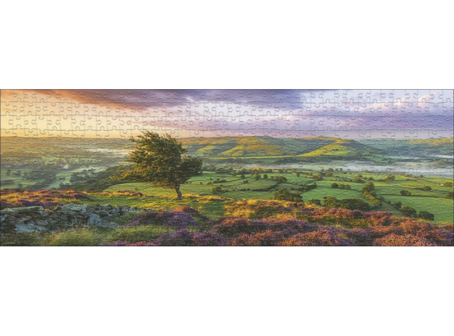 HEYE Panoramatické puzzle Purpurový rozkvět 1000 dílků