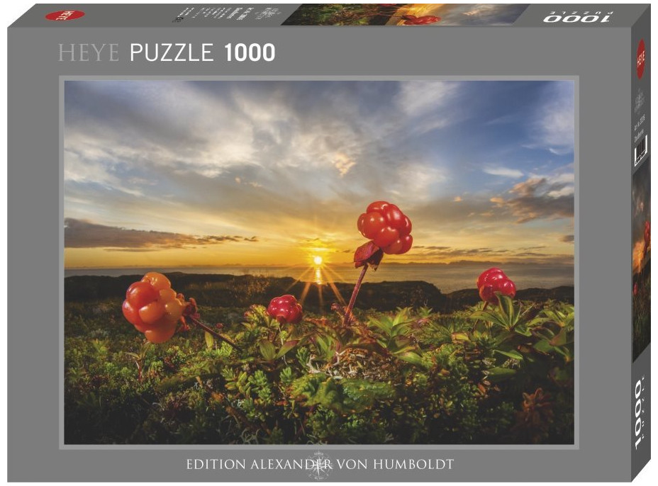 HEYE Puzzle Ostružiny 1000 dílků