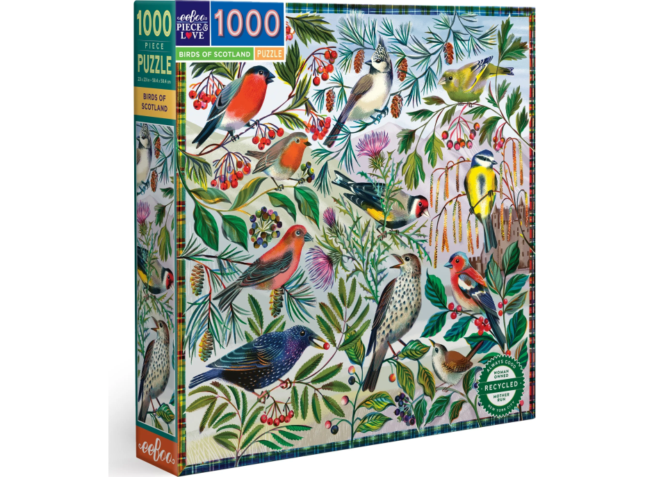 EEBOO Čtvercové puzzle Ptáci Skotska 1000 dílků