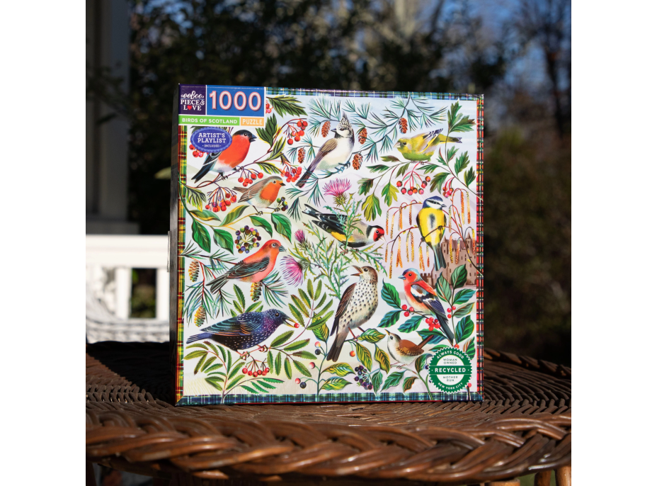 EEBOO Čtvercové puzzle Ptáci Skotska 1000 dílků