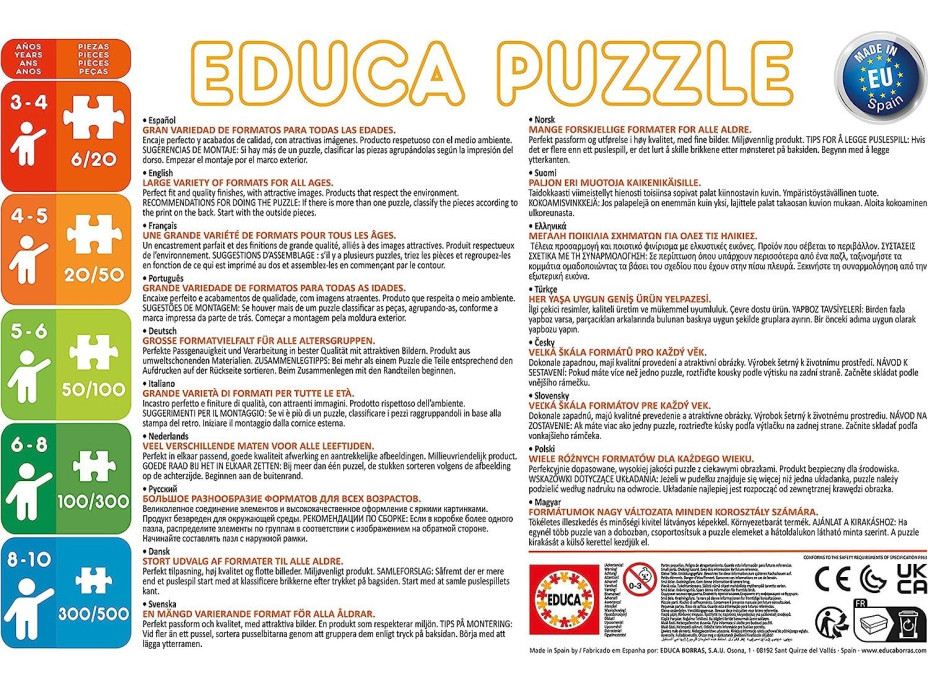 EDUCA Puzzle Lesní příběhy 2x48 dílků