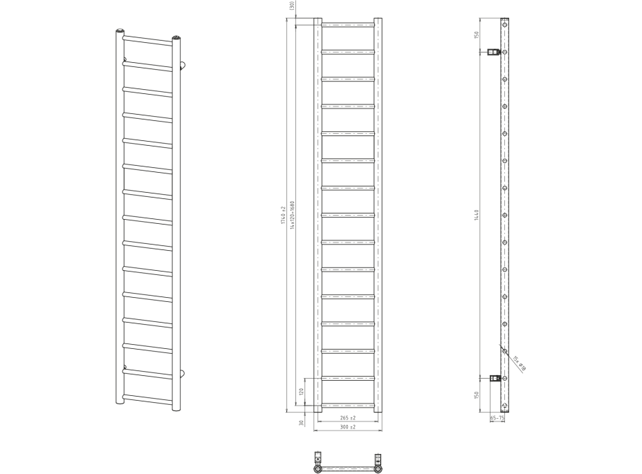 Sapho DINA otopné těleso 300x1740 mm, černá mat IR376B