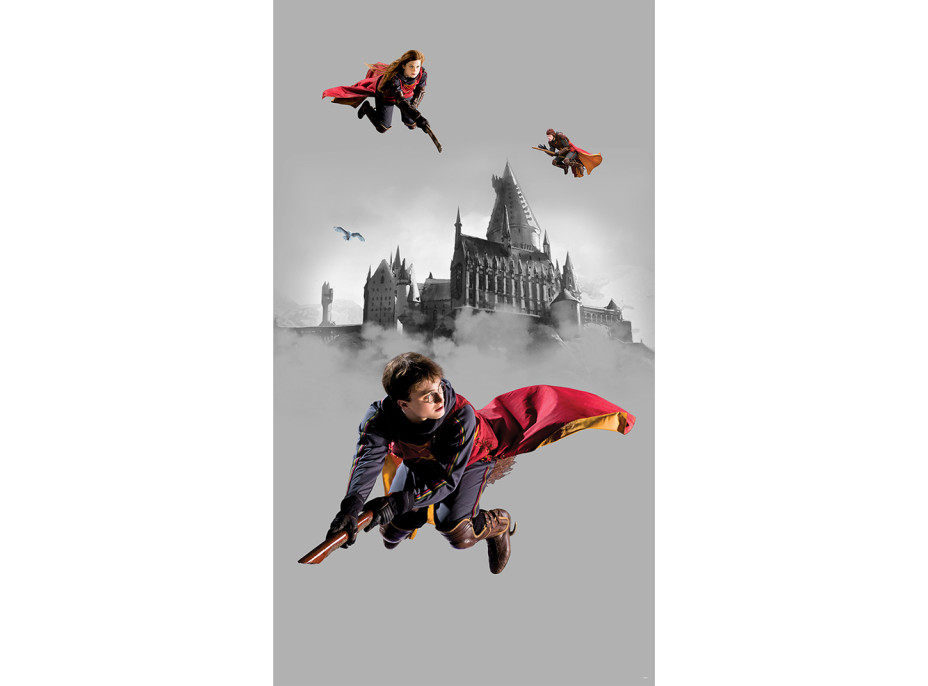 Dětská fototapeta - HARRY POTTER 2 - 150x270 cm