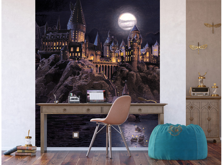 Dětská fototapeta - HARRY POTTER Škola čar a kouzel - 225x270 cm