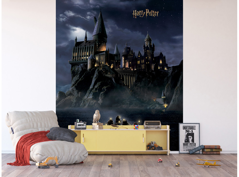 Dětská fototapeta - HARRY POTTER Bradavice - 225x270 cm