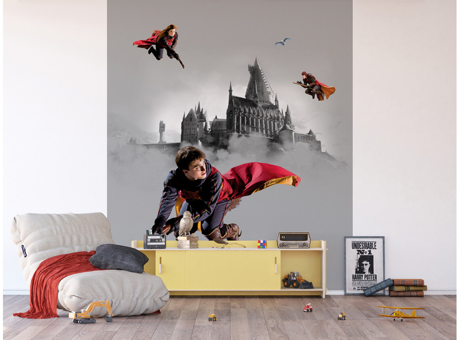 Dětská fototapeta - HARRY POTTER 2 - 225x270 cm