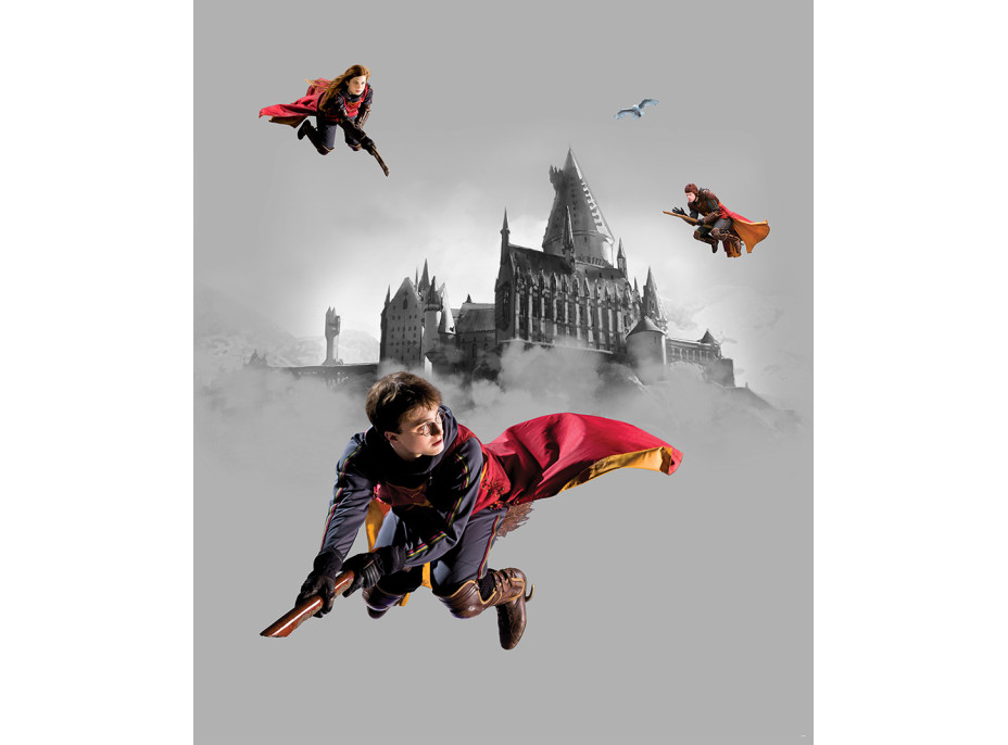 Dětská fototapeta - HARRY POTTER 2 - 225x270 cm