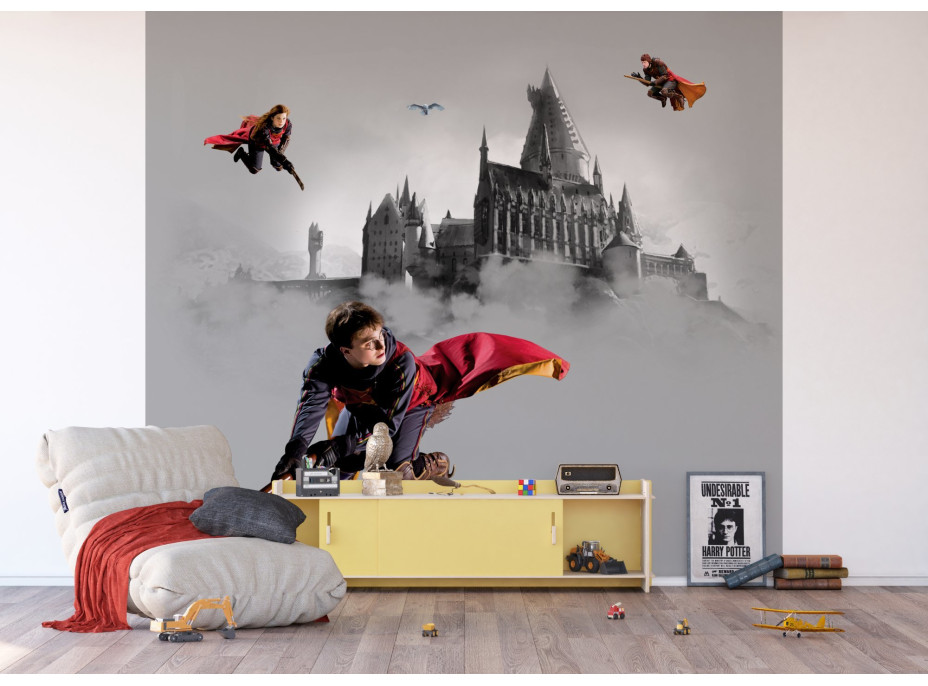 Dětská fototapeta - HARRY POTTER 2 - 300x270 cm