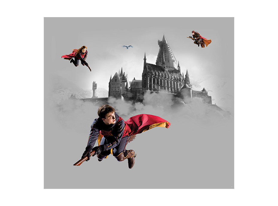 Dětská fototapeta - HARRY POTTER 2 - 300x270 cm