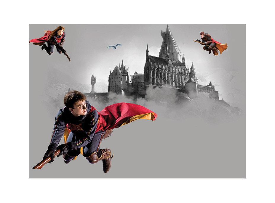 Dětská fototapeta - HARRY POTTER 2 - 155x110 cm