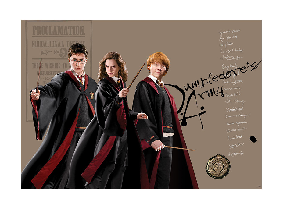 Dětská fototapeta - HARRY POTTER 1 - 155x110 cm