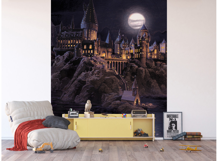 Dětská fototapeta - HARRY POTTER Škola čar a kouzel - 225x270 cm